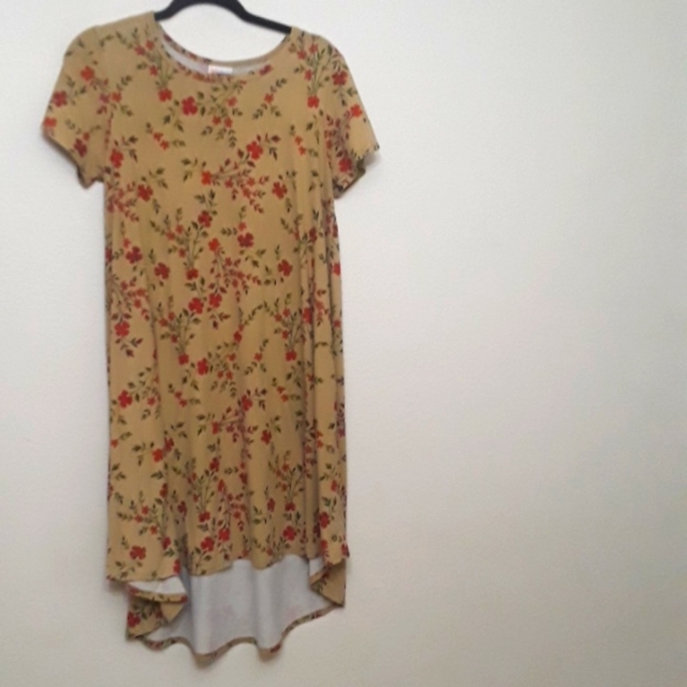 lularoe dress